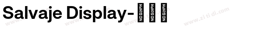 Salvaje Display字体转换 Salvaje Display字体转换